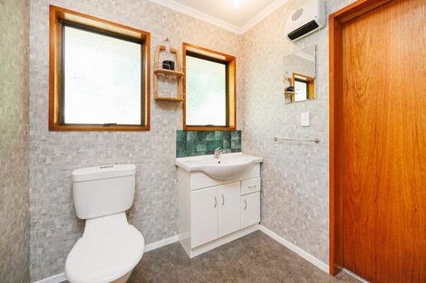 Photo of property in 62 Warwick Street, Feilding, 4702