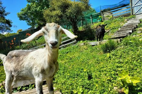 Photo of property in 27 Galt Street, Hawera, 4610