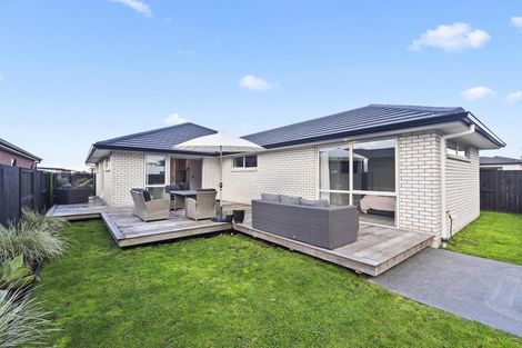 Photo of property in 35 Trewern Avenue, Chartwell, Hamilton, 3210