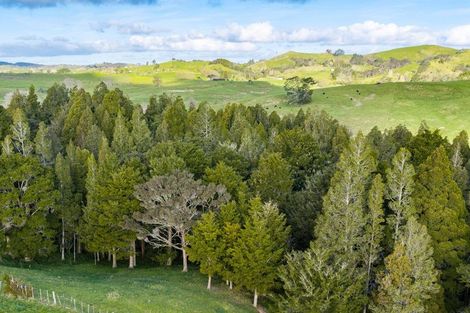 Photo of property in 272 Huarau Road, Whakapirau, Maungaturoto, 0583