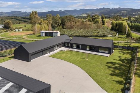 Photo of property in 169 Busby Road, Tahawai, Katikati, 3170