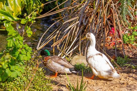 Photo of property in 5 Kereru Place, Masterton, 5810