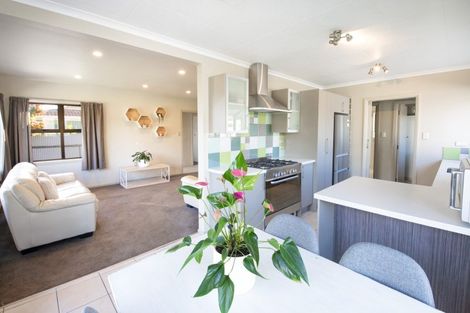 Photo of property in 57 Norwich Crescent, Tamatea, Napier, 4112