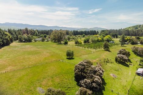 Photo of property in 51 Opaki Kaiparoro Road, Opaki, Masterton, 5882