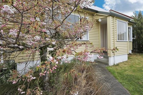 Photo of property in 22 Lockerbie Street, Turnbull Thomson Park, Invercargill, 9810