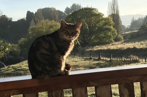 Photo of property in 86 Gibbs Road, Taihape, 4720