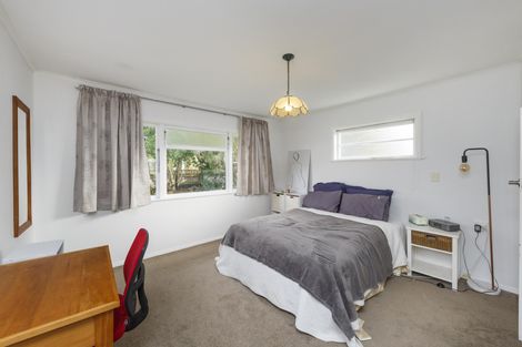 Photo of property in 481 Ruahine Street, Terrace End, Palmerston North, 4410