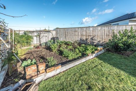 Photo of property in 28 Leicester Place, Springvale, Whanganui, 4501