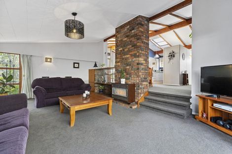 Photo of property in 38 Wake Street, Chartwell, Hamilton, 3210