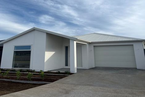 Photo of property in 23 Hammick Crescent, Pyes Pa, 3112