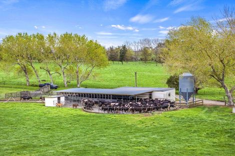 Photo of property in 106 Wright Road, Dairy Flat, Albany, 0794