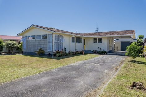 Photo of property in 58 Strathmore Avenue, Levin, 5510