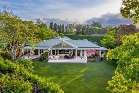 Photo of property in 16 Plane Tree Lane, Tauriko, Tauranga, 3110