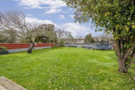 Photo of property in 66 Stout Street, Shannon, 4821