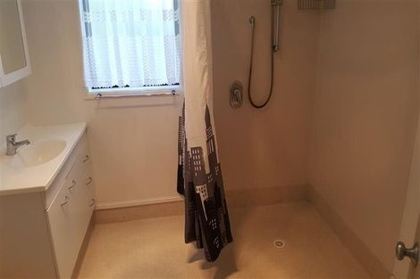 Photo of property in 33 Roto Street, Hurdon, New Plymouth, 4310