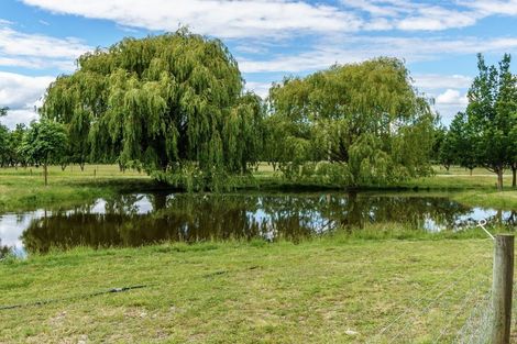 Photo of property in 17 Sheenan Road, Galloway, Alexandra, 9393