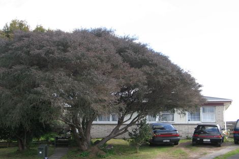 Photo of property in 11 Concord Avenue, Mount Maunganui, 3116