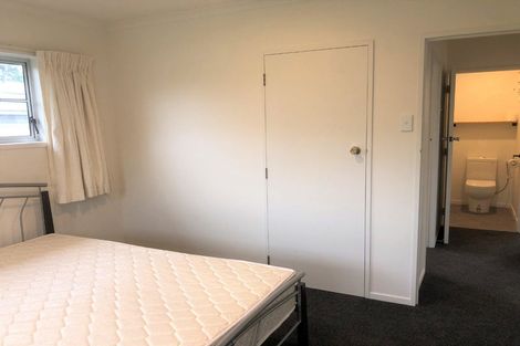 Photo of property in 97 Fitzroy Avenue, Fitzroy, Hamilton, 3206