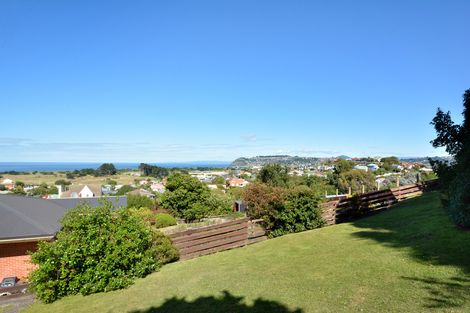 Photo of property in 25 Chisholm Place, Tainui, Dunedin, 9013