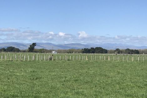 Photo of property in 55 The Strand, Fitzherbert, Palmerston North, 4410