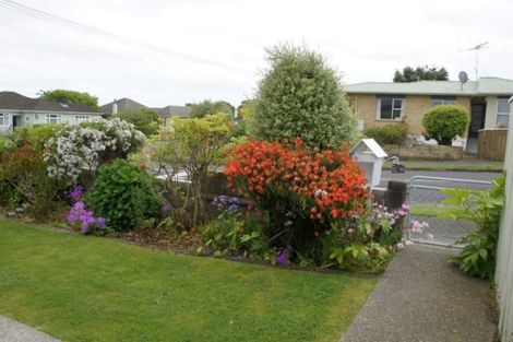 Photo of property in 38 York Street, Levin, 5510