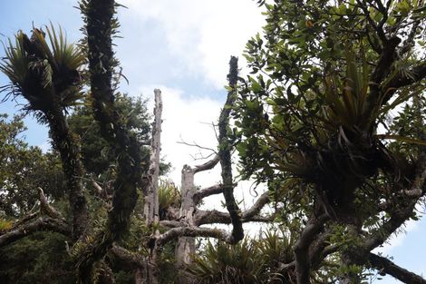 Photo of property in 5 James Road, Huntly, 3771