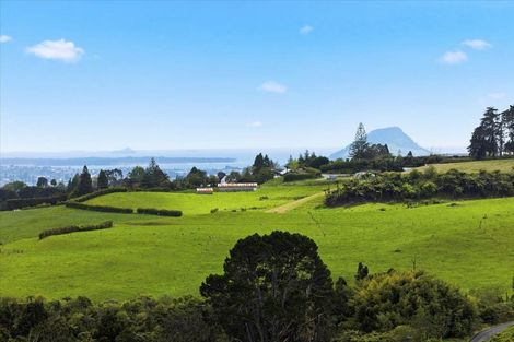 Photo of property in 857b Upper Ohauiti Road, Ohauiti, Tauranga, 3173