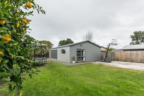 Photo of property in 5 Sheehan Street, Bay View, Napier, 4104