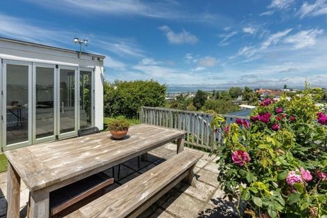 Photo of property in 6 Harvey Road, Bluff Hill, Napier, 4110