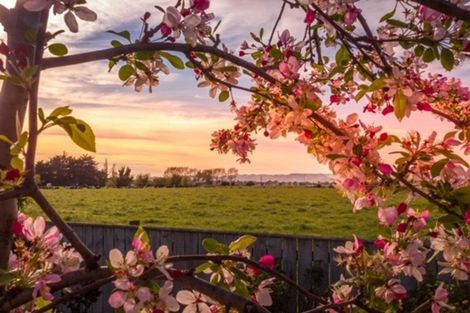 Photo of property in 10 Feist Street, Carterton, 5713