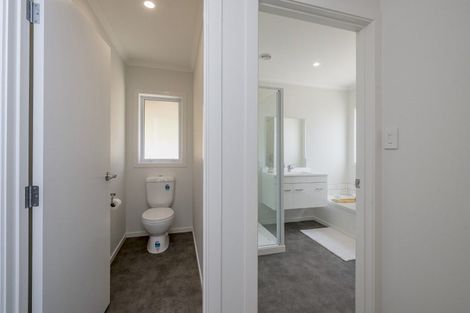 Photo of property in 19b Mckenzie Street, Levin, 5510