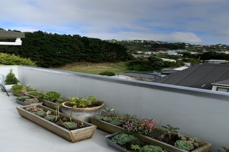 Photo of property in 566n Adelaide Road, Berhampore, Wellington, 6023