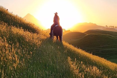 Photo of property in 964 Tarata Road, Kaimata, 4387