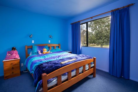 Photo of property in 344 Clyde-alexandra Road, Alexandra, 9391