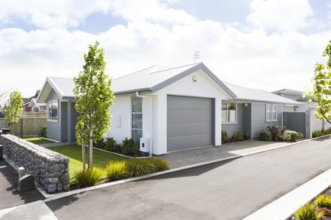 Photo of property in 71 Albert Street, Palmerston North, 4414