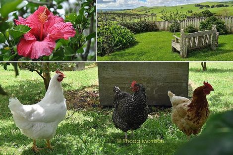 Photo of property in 52 Gallie Branch Road, Matakohe, 0594