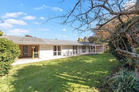 Photo of property in 36 Aurora Terrace, Hillcrest, Hamilton, 3216