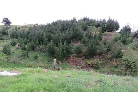 Photo of property in 289 Franklin Road, Paparoa, 0571