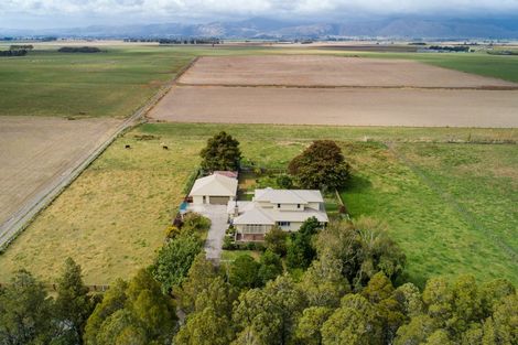 Photo of property in 485 Poplar Road, Opiki, Palmerston North, 4474