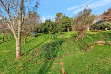 Photo of property in 399 Wainui Road South, Whakamarama, Katikati, 3181