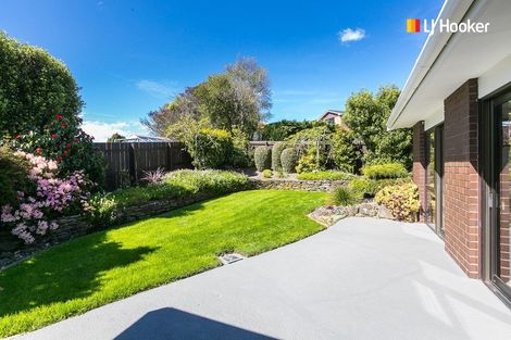 Photo of property in 20 Botting Place, Waverley, Dunedin, 9013