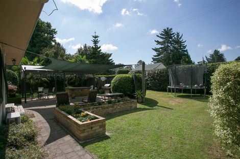 Photo of property in 8 Mclarnon Road, Cambridge, 3495