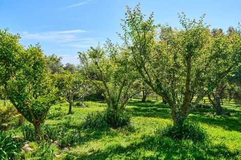 Photo of property in 57 Octavius Road, Peka Peka, Waikanae, 5391