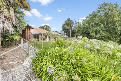 Photo of property in 16 Sequoia Place, Morrinsville, 3300