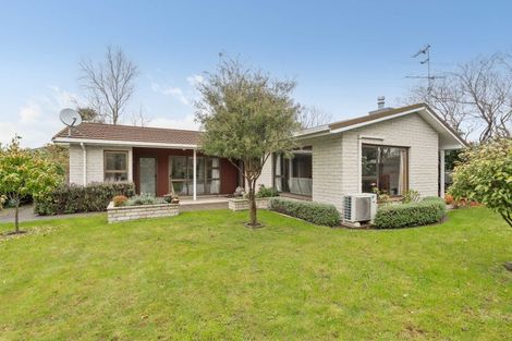 Photo of property in 20 Totara Street, Lansdowne, Masterton, 5810