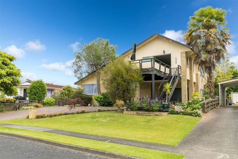 Photo of property in 15 Glendon Place, Otorohanga, 3900