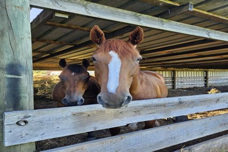 Photo of property in 281 Riverhead Road, Riverhead, 0892