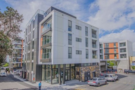 Photo of property in 112/10 Lion Place, Epsom, Auckland, 1023