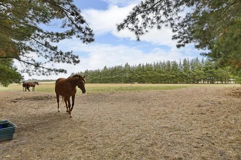 Photo of property in 279 Balcairn Amberley Road, Balcairn, Amberley, 7481