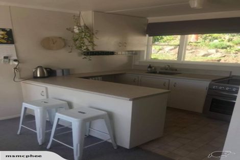 Photo of property in 50 Baldwin Street, North East Valley, Dunedin, 9010